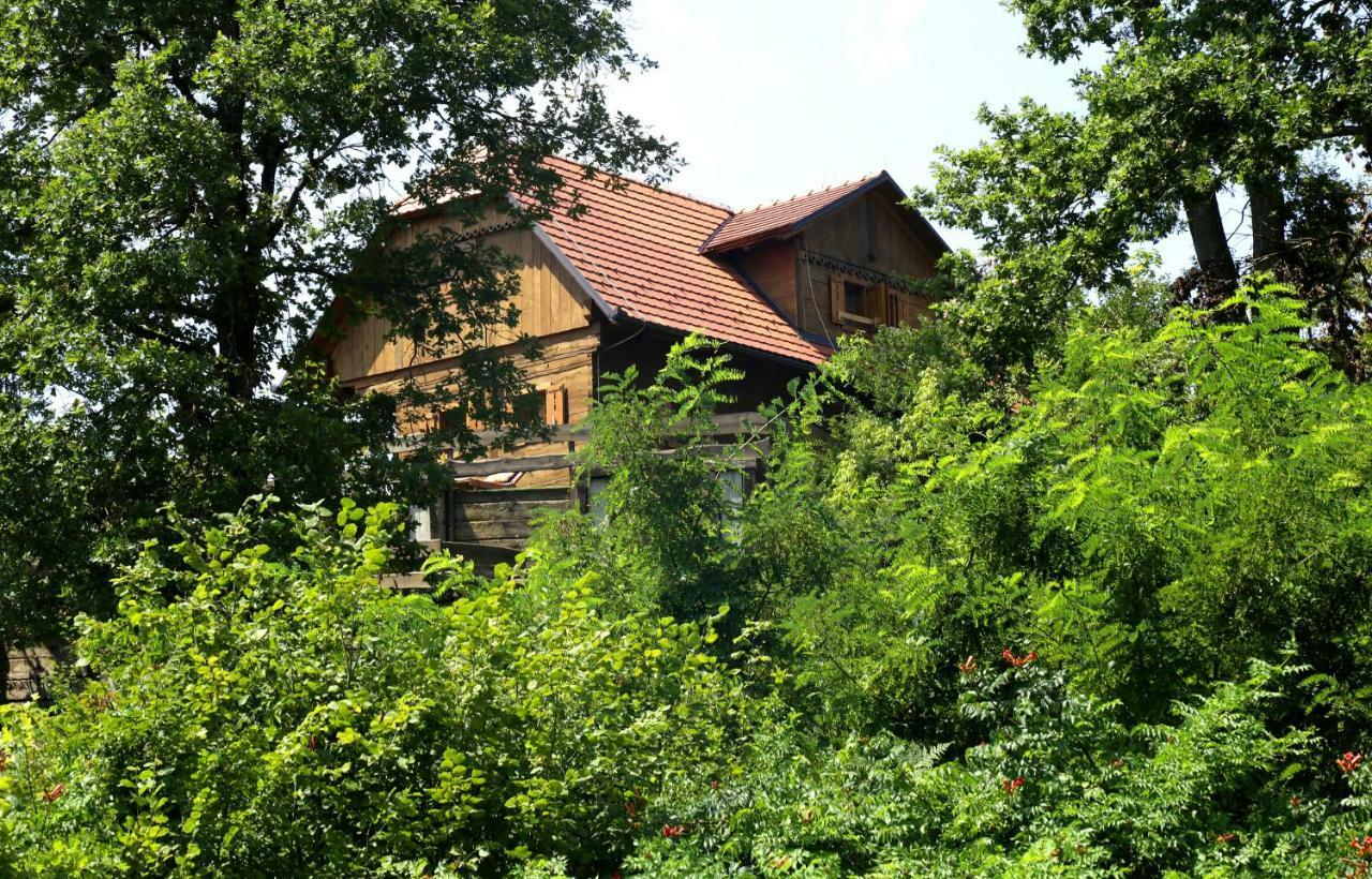 Kuca Suncani Brijeg Apartment *
